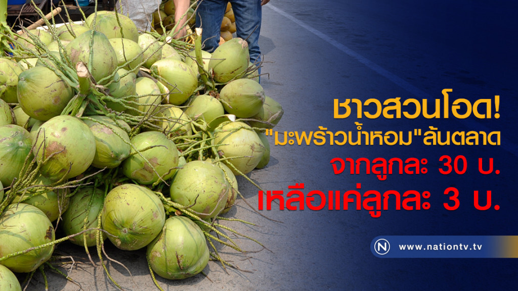 ชาวสวนโอด!
"มะพร้าวน้ำหอม"ล้นตลาด
จากลูกละ 30 บ.
เหลือแค่ลูกละ 3 บ. ชาวสวนโอด!
"มะพร้าวน้ำหอม"ล้นตลาด
จากลูกละ 30 บ.
เหลือแค่ลูกละ 3 บ.