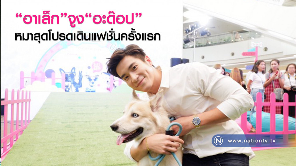 "อาเล็ก"จูง"อะด๊อป"
หมาสุดโปรดเดินแฟชั่นครั้งแรก "อาเล็ก"จูง"อะด๊อป"
หมาสุดโปรดเดินแฟชั่นครั้งแรก