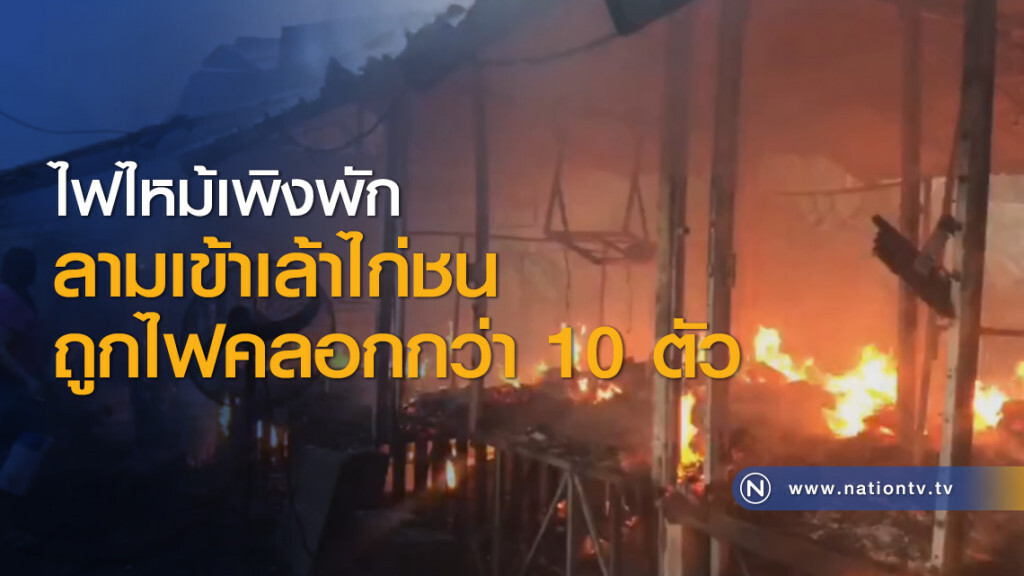 ไฟไหม้เพิงพักลามเข้าเล้าไก่ชนถูกไฟคลอกกว่า 10 ตัว ไฟไหม้เพิงพักลามเข้าเล้าไก่ชนถูกไฟคลอกกว่า 10 ตัว