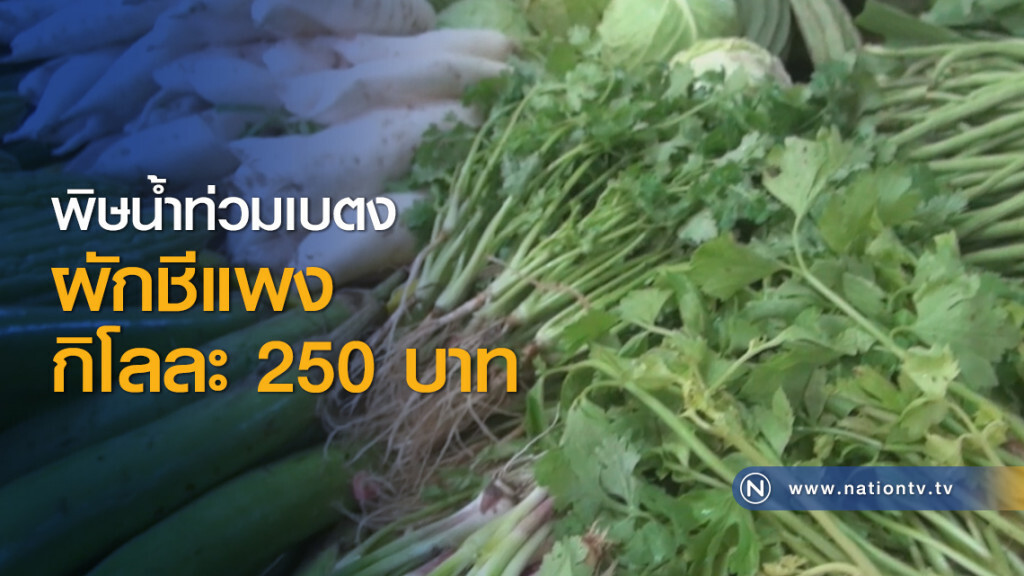 พิษน้ำท่วมเบตงผักชีแพงกิโลละ 250 บาท พิษน้ำท่วมเบตงผักชีแพงกิโลละ 250 บาท