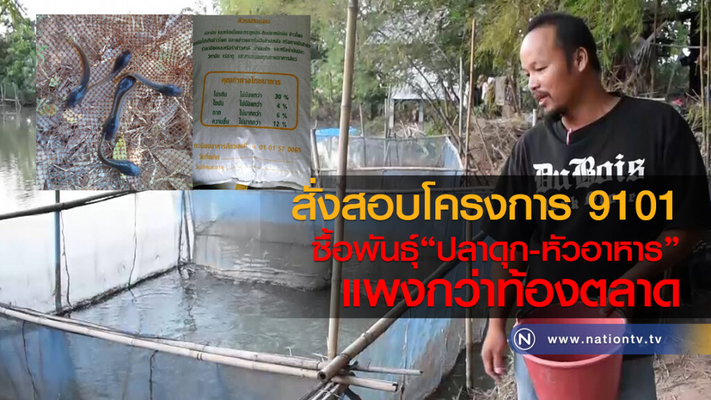 สั่งสอบโครงการ 9101
ซื้อพันธุ์"ปลาดุก"-หัวอาหารแพง สั่งสอบโครงการ 9101
ซื้อพันธุ์"ปลาดุก"-หัวอาหารแพง