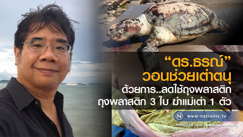 "ดร.ธรณ์" วอนช่วยเต่าตนุ
ด้วยการ..ลดใช้ถุงพลาสติก
ถุงพลาสติก 3 ใบ ฆ่าแม่เต่า 1 ตัว