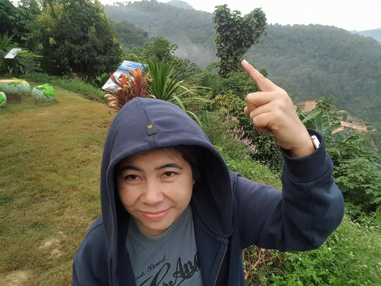 นักท่องเที่ยวแห่เก็บภาพ! ต้นสักผลิใบรูปหัวใจ 