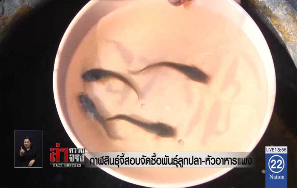 กาฬสินธุ์จี้สอบจัดซื้อพันธุ์ลูกปลา-หัวอาหารแพง
