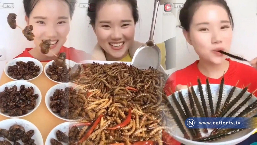 สาวจีน สุดพิสดาร! กินแมลงและสัตว์เลื้อยคลาน ทุกอย่างที่ขวางหน้า สาวจีน สุดพิสดาร! กินแมลงและสัตว์เลื้อยคลาน ทุกอย่างที่ขวางหน้า