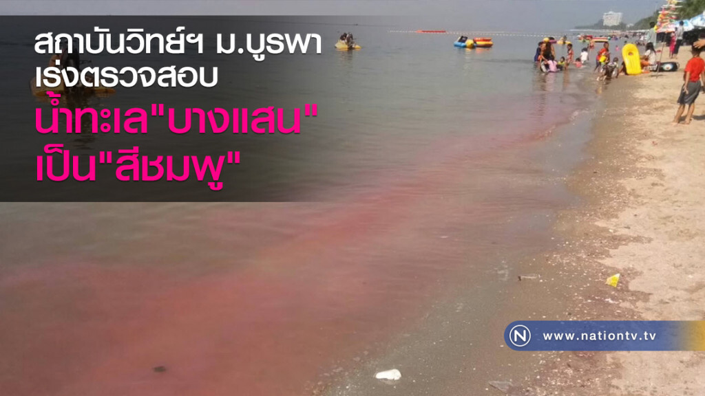 สถาบันวิทย์ฯม.บูรพาเร่งตรวจสอบ น้ำทะเลบางแสนเป็นสีชมพู สถาบันวิทย์ฯม.บูรพาเร่งตรวจสอบ น้ำทะเลบางแสนเป็นสีชมพู