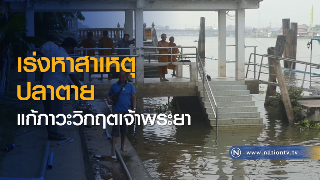 เร่งหาสาเหตุปลาตายแก้ภาวะวิกฤตเจ้าพระยา เร่งหาสาเหตุปลาตายแก้ภาวะวิกฤตเจ้าพระยา