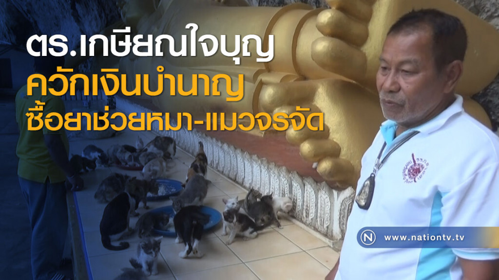 ตร.เกษียณใจบุญควักเงินบำนาญซื้อยาช่วยหมา-แมวจรจัด