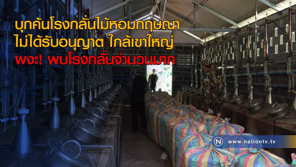 บุกค้นโรงกลั่นไม้หอมกฤษณาไม่ได้รับอนุญาต ใกล้เขาใหญ่ พบโรงกลั่นจำนวนมาก