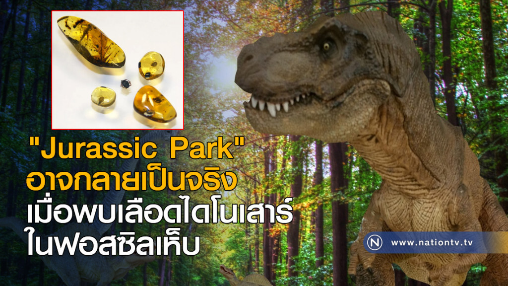 "Jurassic Park" อาจกลายเป็นจริง เมื่อพบเลือดไดโนเสาร์ในฟอสซิลเห็บ