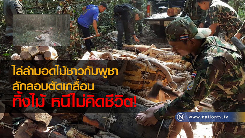 (คลิป) ไล่ล่ามอดไม้ชาวกัมพูชา
ลักลอบตัดเกลื่อน
ทิ้งไม้ หนีไม่คิดชีวิต! (คลิป) ไล่ล่ามอดไม้ชาวกัมพูชา
ลักลอบตัดเกลื่อน
ทิ้งไม้ หนีไม่คิดชีวิต!