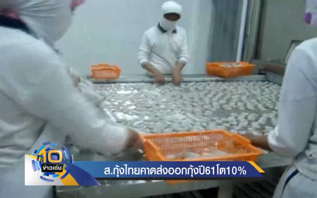 สมาคมกุ้ง คาดส่งออกกุ้งปี 61 โต 10% สมาคมกุ้ง คาดส่งออกกุ้งปี 61 โต 10%
