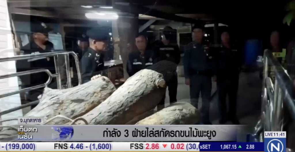 สนธิกำลัง 3 ฝ่ายสกัดรถขนไม้พะยูง มูลค่า 1 ล้านบาท สนธิกำลัง 3 ฝ่ายสกัดรถขนไม้พะยูง มูลค่า 1 ล้านบาท