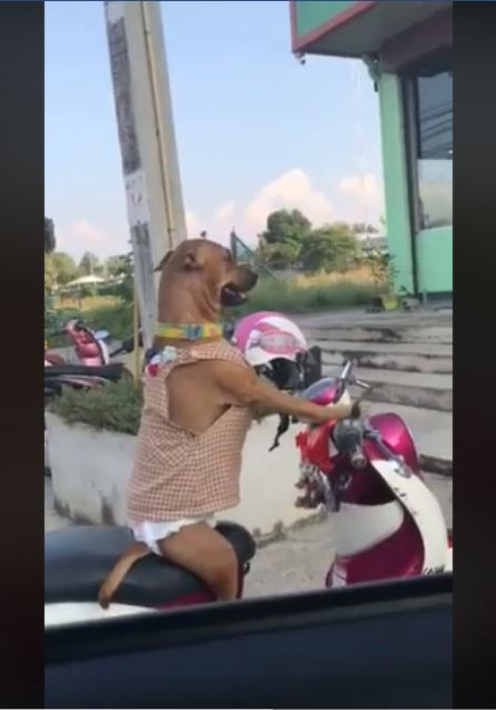 ไม่ได้หยิ่งแต่แม่บอกไม่ให้คุยกับใคร
