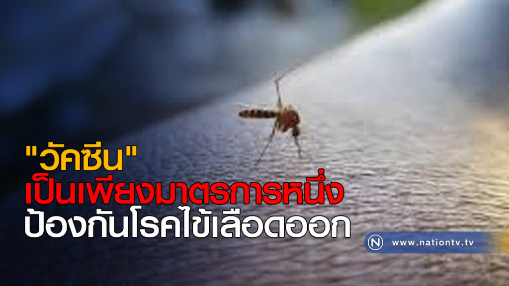 "วัคซีน" เป็นเพียงมาตรการหนึ่ง ป้องกันโรคไข้เลือดออก