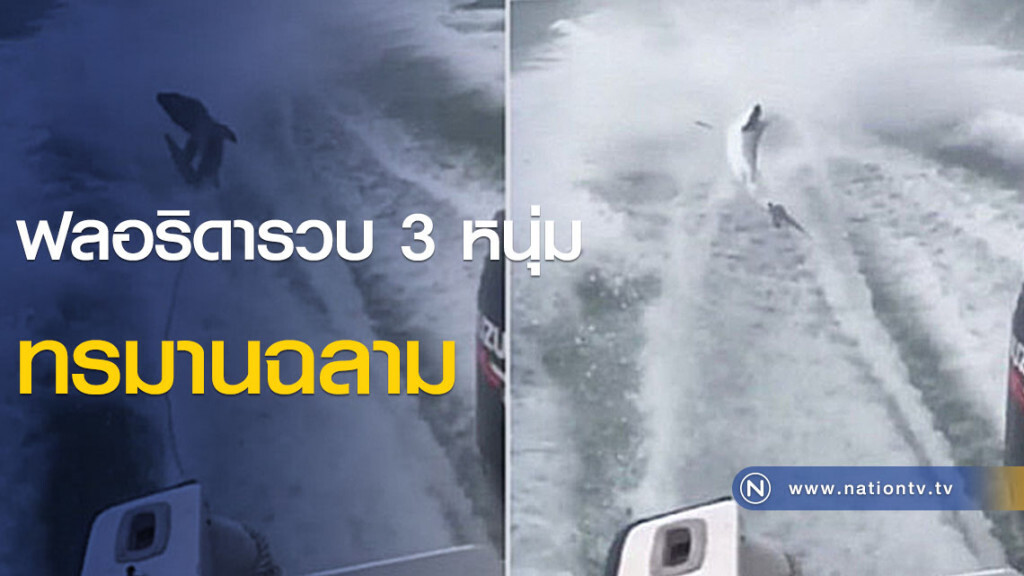 ฟลอริดารวบ 3 หนุ่มทรมานฉลาม ฟลอริดารวบ 3 หนุ่มทรมานฉลาม