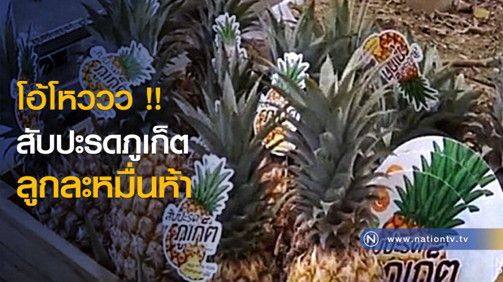 โอ้โหววว !! สับปะรดภูเก็ตลูกละหมื่นห้า โอ้โหววว !! สับปะรดภูเก็ตลูกละหมื่นห้า