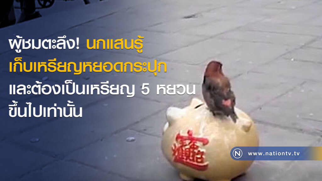 ผู้ชมตะลึง! นกแสนรู้ เก็บเหรียญหยอดกระปุก ผู้ชมตะลึง! นกแสนรู้ เก็บเหรียญหยอดกระปุก