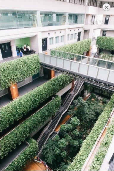 ม.เกษตรติดอันดับมหาวิทยาลัยสีเขียวของโลก