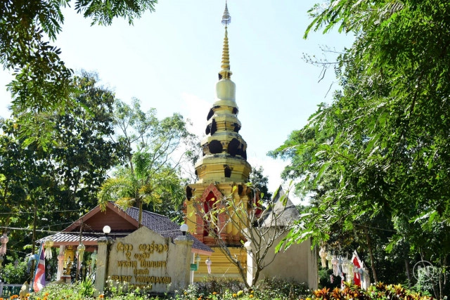 พบผึ้งแห่ทำรังเต็มพระธาตุ-อุโบสถ ที่วัดป่าหมากหน่อ เชียงราย