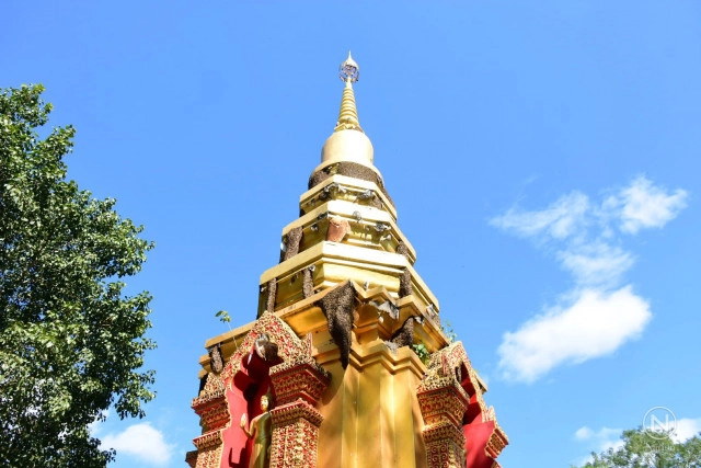 พบผึ้งแห่ทำรังเต็มพระธาตุ-อุโบสถ ที่วัดป่าหมากหน่อ เชียงราย
