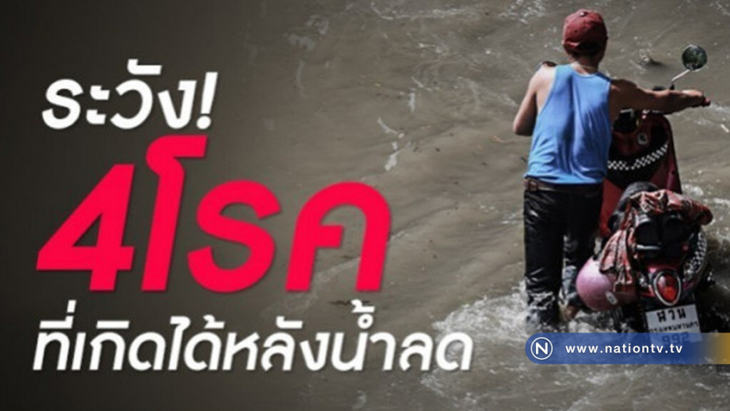 "โรคฉี่หนู"พบบ่อยในพื้นที่หลังน้ำลดอันตรายถึงชีวิต!! "โรคฉี่หนู"พบบ่อยในพื้นที่หลังน้ำลดอันตรายถึงชีวิต!!