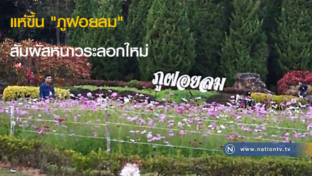 แห่ขึ้น "ภูฝอยลม" สัมผัสหนาวระลอกใหม่ แห่ขึ้น "ภูฝอยลม" สัมผัสหนาวระลอกใหม่