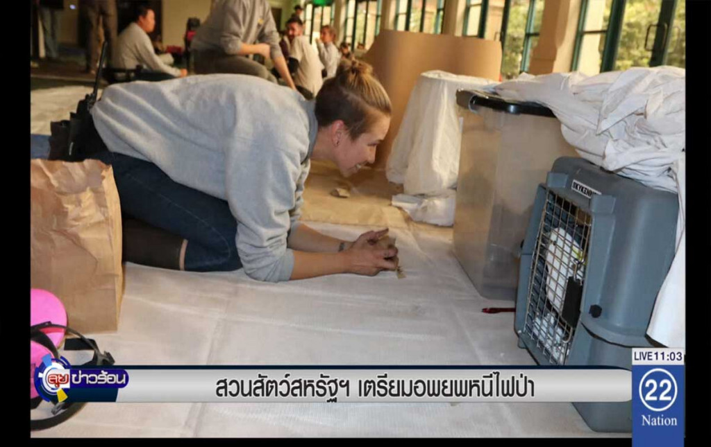 สวนสัตว์สหรัฐฯ เตรียมอพยพหนีไฟป่า สวนสัตว์สหรัฐฯ เตรียมอพยพหนีไฟป่า