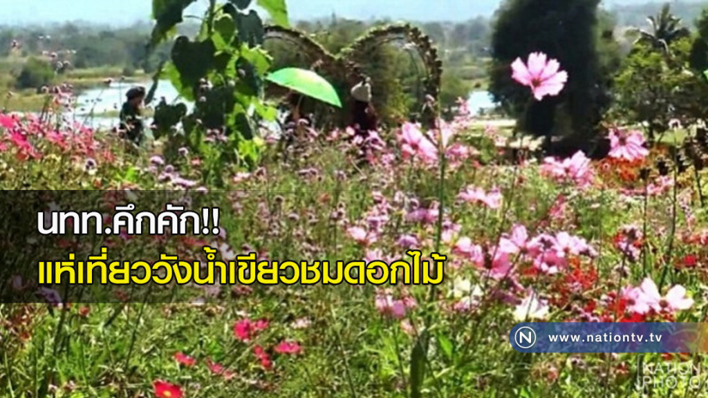นทท.คึกคัก!! แห่เที่ยววังน้ำเขียวชมดอกไม้ นทท.คึกคัก!! แห่เที่ยววังน้ำเขียวชมดอกไม้