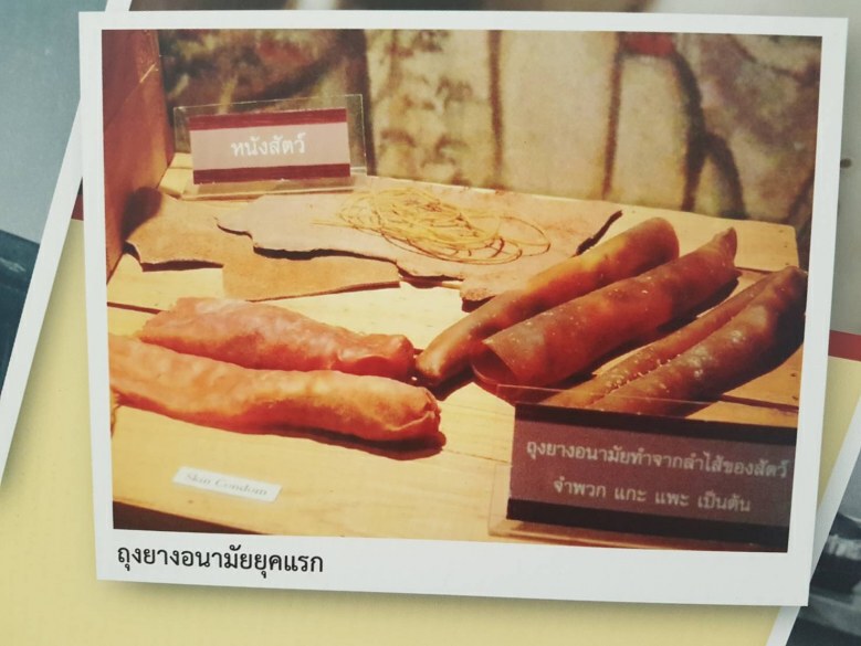 "ถุงยางอนามัยยุคแรก"ทำจากลำไส้สัตว์
