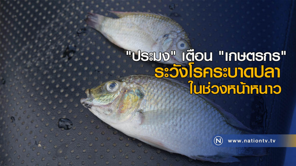 "ประมง" เตือน "เกษตรกร" ระวังโรคระบาดปลาในช่วงหน้าหนาว