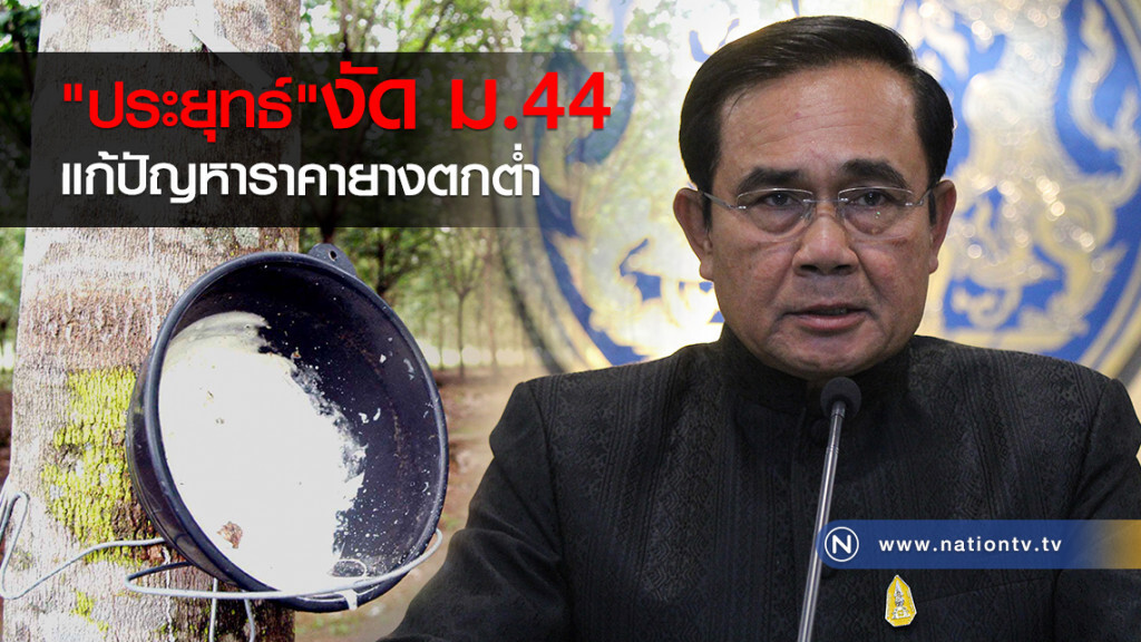 "ประยุทธ์" งัด ม.44 แก้ปัญหาราคายางตกต่ำ "ประยุทธ์" งัด ม.44 แก้ปัญหาราคายางตกต่ำ
