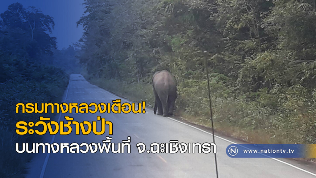 กรมทางหลวงเตือน! ระวังช้างป่า บนทางหลวงพื้นที่ จ.ฉะเชิงเทรา กรมทางหลวงเตือน! ระวังช้างป่า บนทางหลวงพื้นที่ จ.ฉะเชิงเทรา