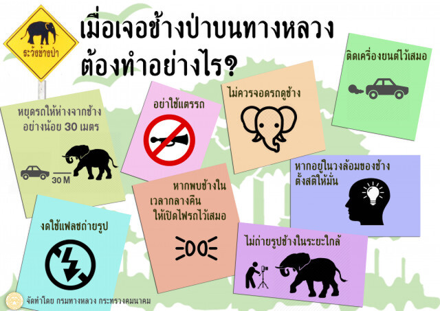 กรมทางหลวงเตือน! ระวังช้างป่า บนทางหลวงพื้นที่  จ.ฉะเชิงเทรา