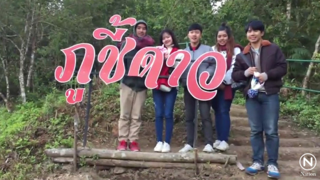 เชียงรายอุณภูมิลดฮวบ! ยอดดอยแตะ 0 องศาฯ ภูชี้ดาวท่องเที่ยวคึกคัก