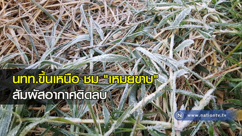 นทท.ขึ้นเหนือ ชม "เหมยขาบ" สัมผัสอากาศติดลบ