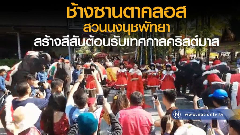 ช้างซานตาคลอส สวนนงนุชพัทยา สร้างสีสันต้อนรับเทศกาลคริสต์มาส
ณัฐภูมินทร์ / พัชรพล ปานรักษ์ ช้างซานตาคลอส สวนนงนุชพัทยา สร้างสีสันต้อนรับเทศกาลคริสต์มาส
ณัฐภูมินทร์ / พัชรพล ปานรักษ์