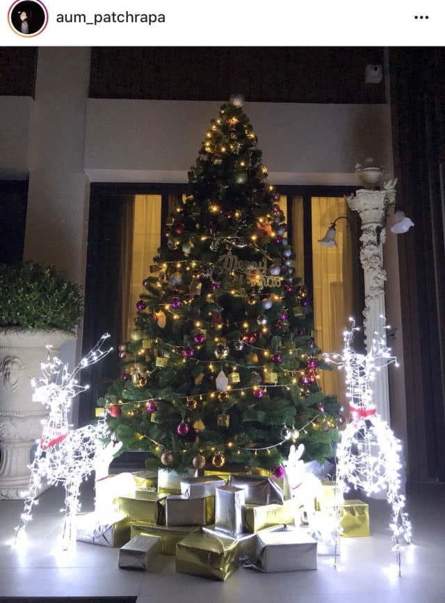 คนบันเทิงในธีมคริสมาสต์ 2017