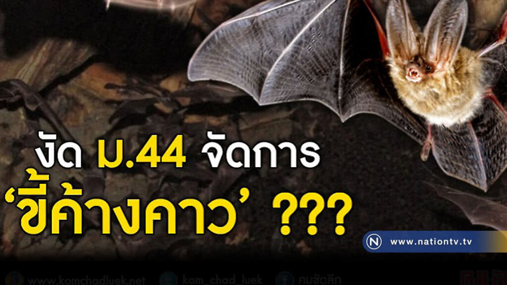 "บิ๊กตู่" จะงัด "ม.44" ห้าม ค้างคาวขี้! หลัง "เจ้าบ้านเมืองสุโขทัย" ร้อง คนที่นี่เดือดร้อน