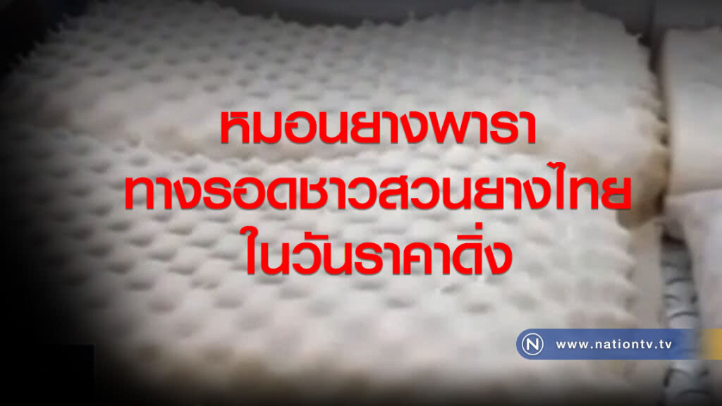 หมอนยางพารา....ทางรอดชาวสวนยางไทยในวันราคาดิ่ง