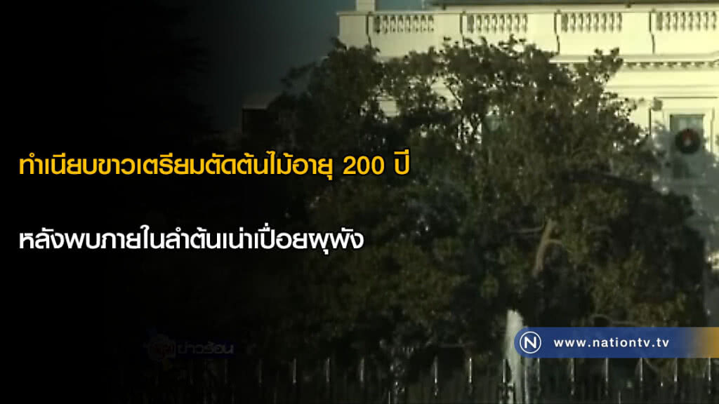 ทำเนียบขาวเตรียมตัดต้นไม้อายุ 200 ปี หลังพบภายในลำต้นเน่าเปื่อยผุพัง ทำเนียบขาวเตรียมตัดต้นไม้อายุ 200 ปี หลังพบภายในลำต้นเน่าเปื่อยผุพัง