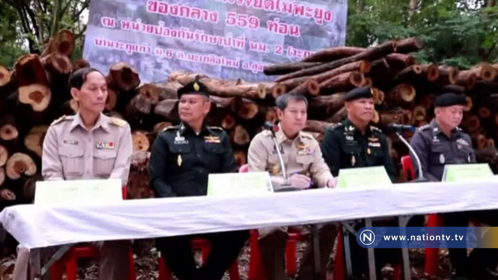 ตำรวจ-ทหาร-ป่าไม้-ปกครอง แถลงไม้พะยูงกว่า 550 ท่อน ถูกนายทุนต่างชาติสั่งชาวบ้านลักลอบตัดในป่าดงมะไฟ ตำรวจ-ทหาร-ป่าไม้-ปกครอง แถลงไม้พะยูงกว่า 550 ท่อน ถูกนายทุนต่างชาติสั่งชาวบ้านลักลอบตัดในป่าดงมะไฟ
