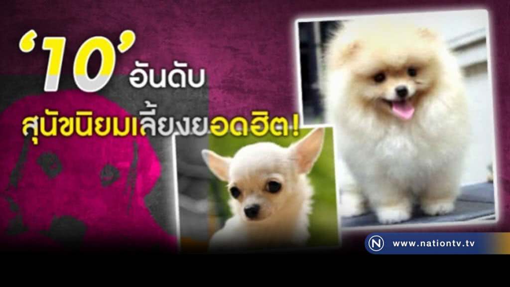 10 อันดับสุนัขนิยมเลี้ยงยอดฮิต 
