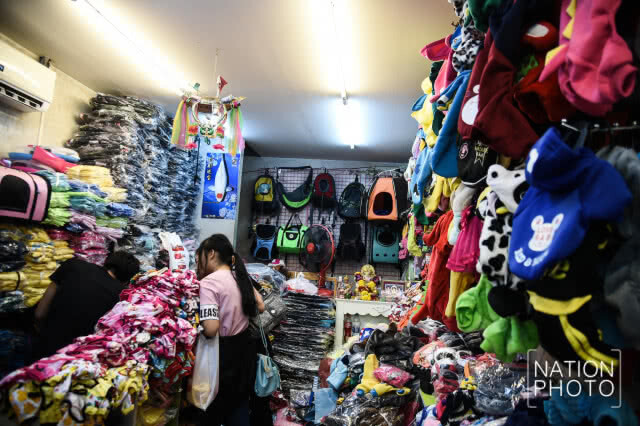 คนรักสุนัข ซื้อเสื้อผ้าให้น้องหมารับปีจอ