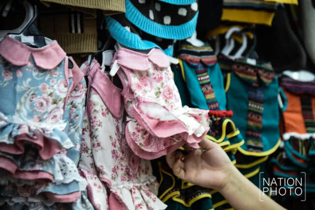 คนรักสุนัข ซื้อเสื้อผ้าให้น้องหมารับปีจอ