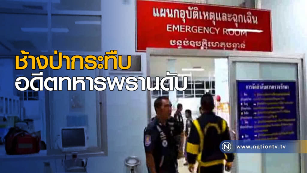 ช้างป่า กระทืบ อดีตผบ.กองร้อยทหารพรานดับ ช้างป่า กระทืบ อดีตผบ.กองร้อยทหารพรานดับ