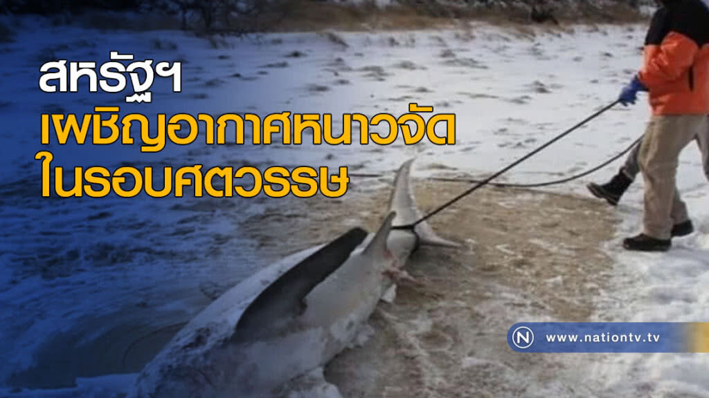 สหรัฐฯ เผชิญอากาศหนาวจัดในรอบศตวรรษ สหรัฐฯ เผชิญอากาศหนาวจัดในรอบศตวรรษ