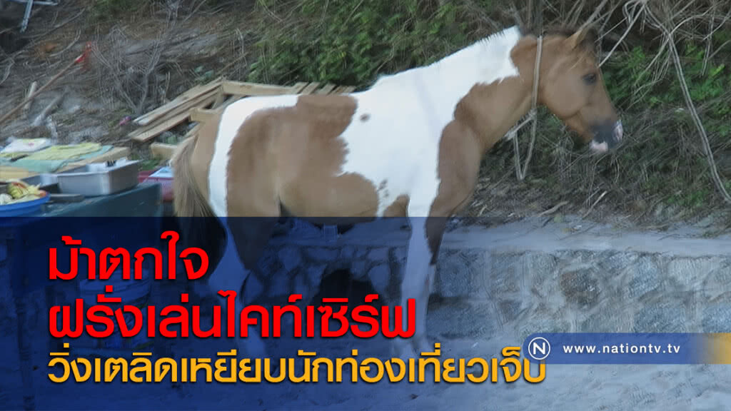 ม้าตกใจฝรั่งเล่นไคท์เซิร์ฟวิ่งเตลิดเหยียบนักท่องเที่ยวเจ็บ
