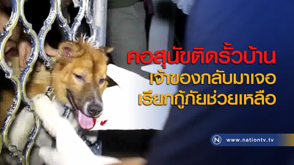 คอสุนัขติดรั้วบ้าน เจ้าของกลับมาเจอเรียกกู้ภัยช่วยเหลือ