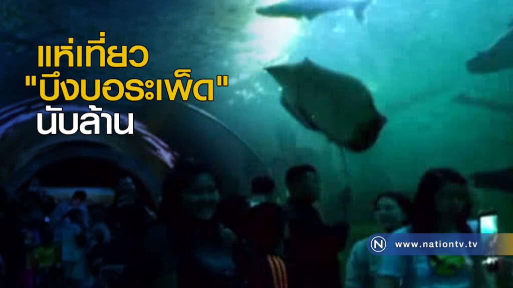แห่เที่ยว "บึงบอระเพ็ด" นับล้าน แห่เที่ยว "บึงบอระเพ็ด" นับล้าน